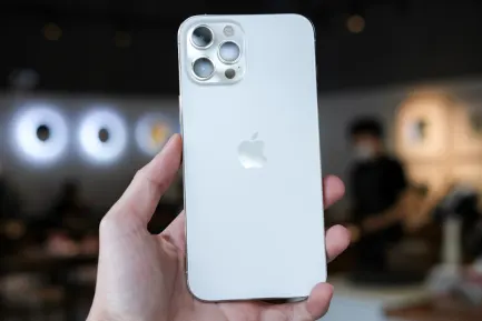 BlueFox Casino Aip Soghluaiste